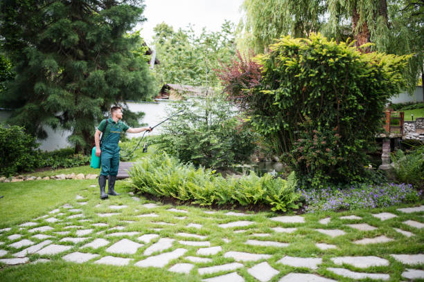 Best Pest Control Near Me  in Oneonta, AL