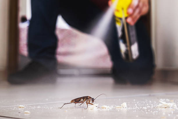 Best Local Pest Control Services  in Oneonta, AL
