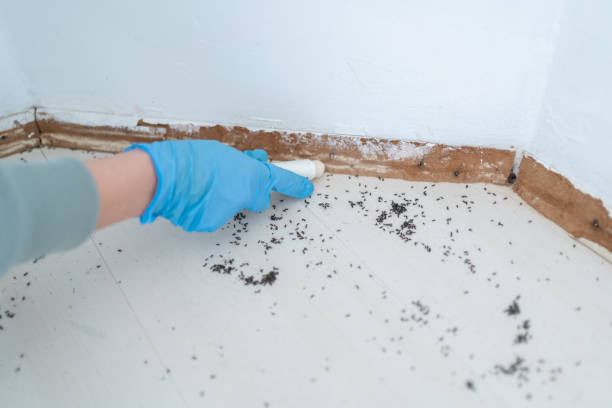 Best Pest Removal Services  in Oneonta, AL