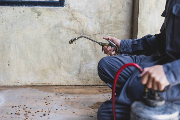 Professional Pest Control in Oneonta, AL